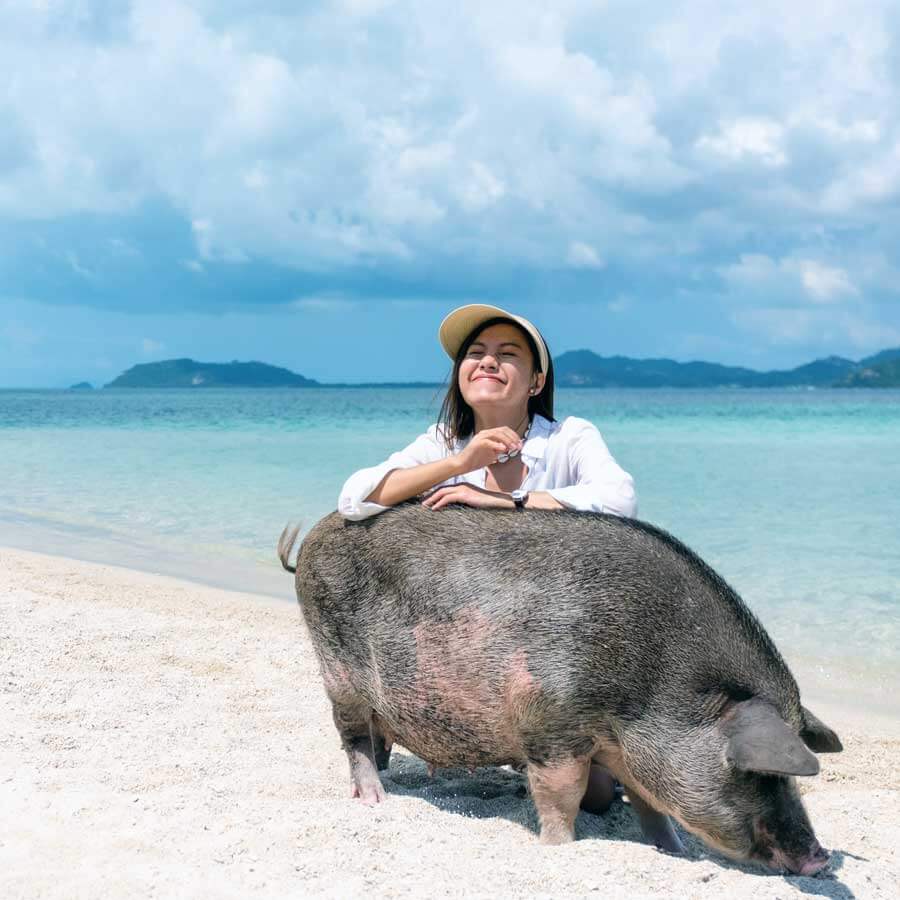 Women with Pig on Pig Island