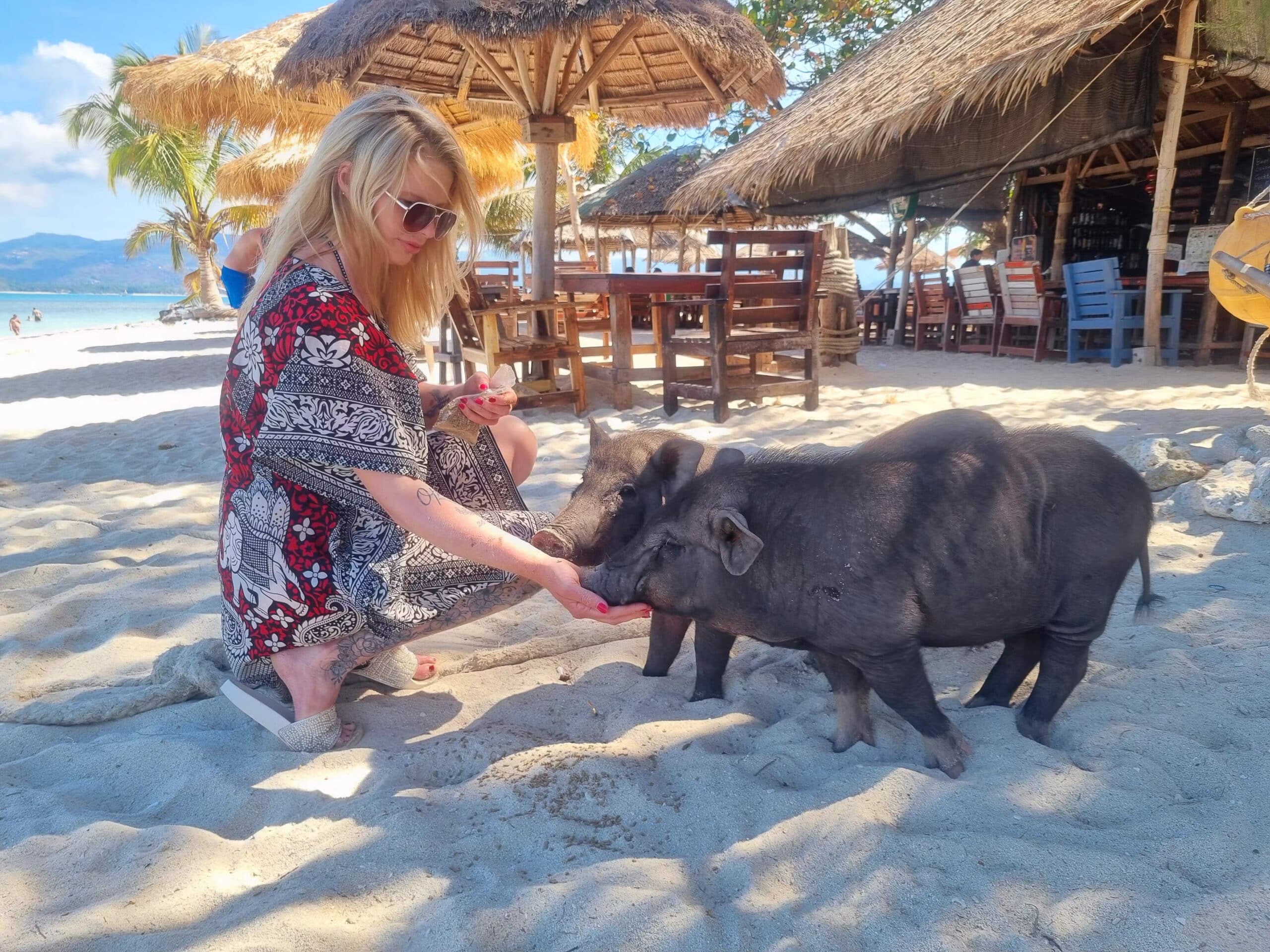 Woman feeding a pig on Pig Island Koh Madsum
